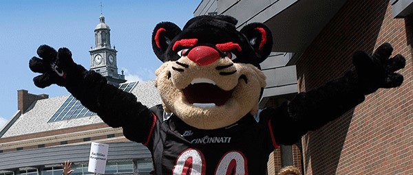 Bearcat with open arms